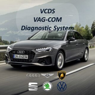 Ross-Tech VCDS (VAG-COM Diagnostic System)