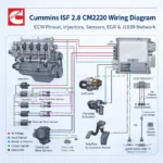 Cummins ISF 2.8 CM2220 wiring diagram ECM pinout injectors EGR mass air flow sensor schematic infographic blueprint