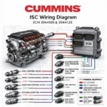 Cummins ISC wiring diagram ECM 3944105 3944125 fuel system sensors injector control schematic infographic blueprint