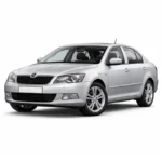 Skoda Octavia II 1.8 TSI BZB Bosch MED17.5 1Z0907115C 1037389736 ECU Software Backup