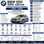 BMW 550i F10 2015 2016 wiring diagram manual PT CAN DME DSC electrical schematics